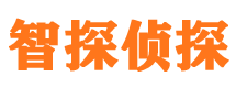 青山区市婚外情调查